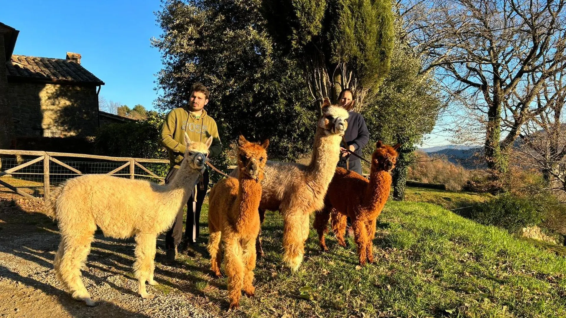 Il Castellare Daire Poggioni İtalya